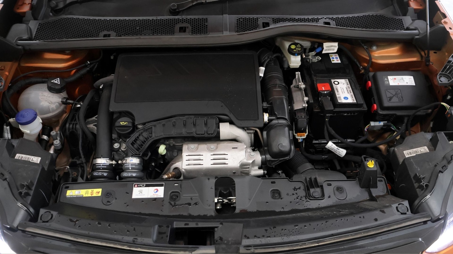 Used Peugeot 2008 2023 for sale - 77889683: Photo 19