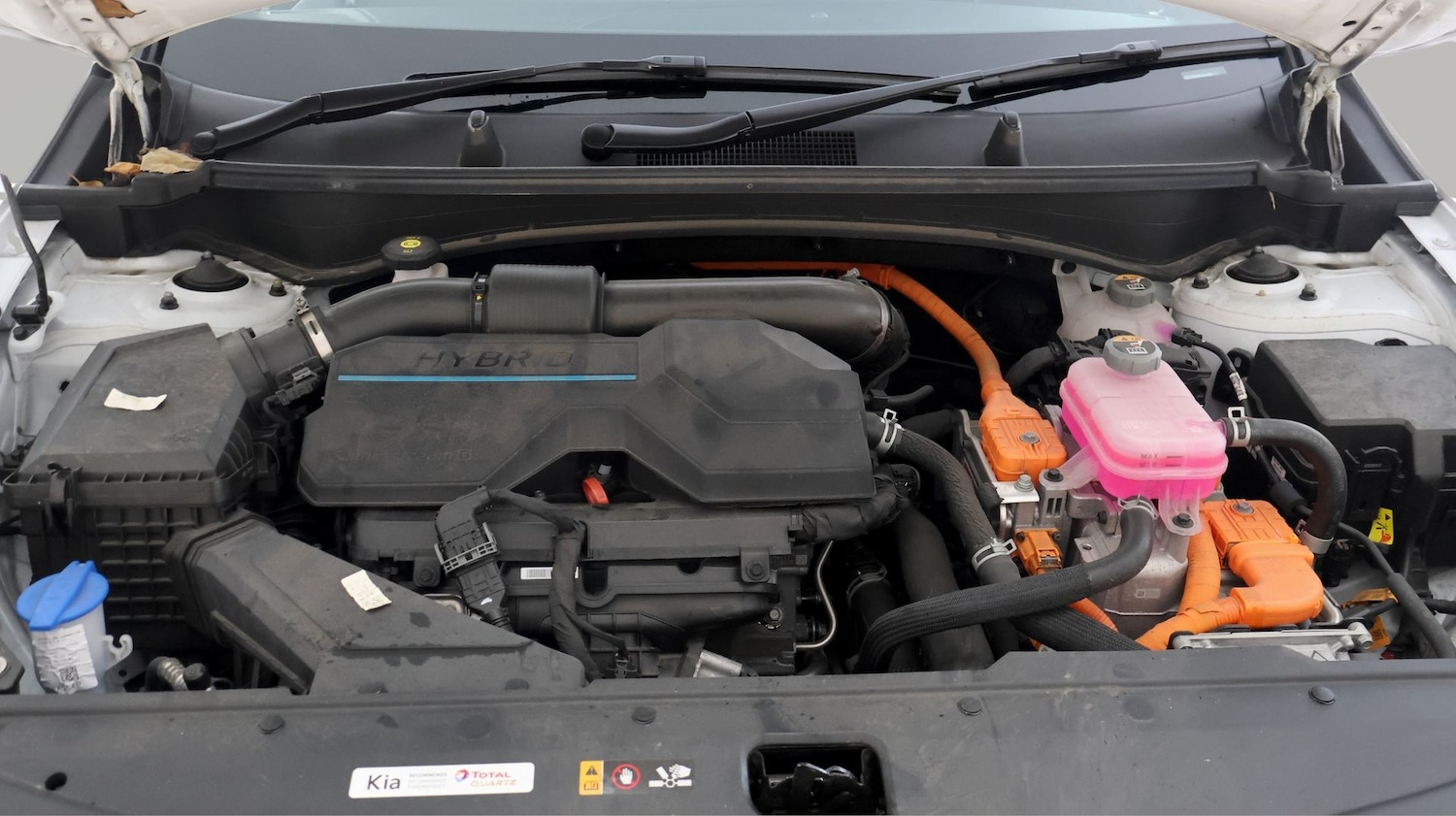 Used Kia Sportage 2023 for sale - 77355061: Photo 19