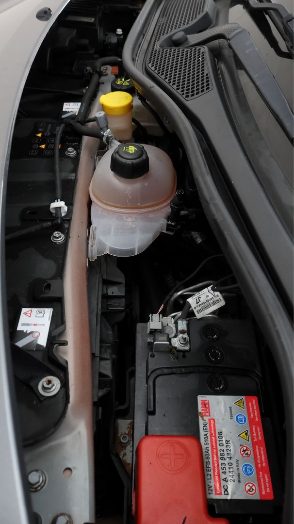 Used smart forfour 2019 for sale - 77364158: Photo 19