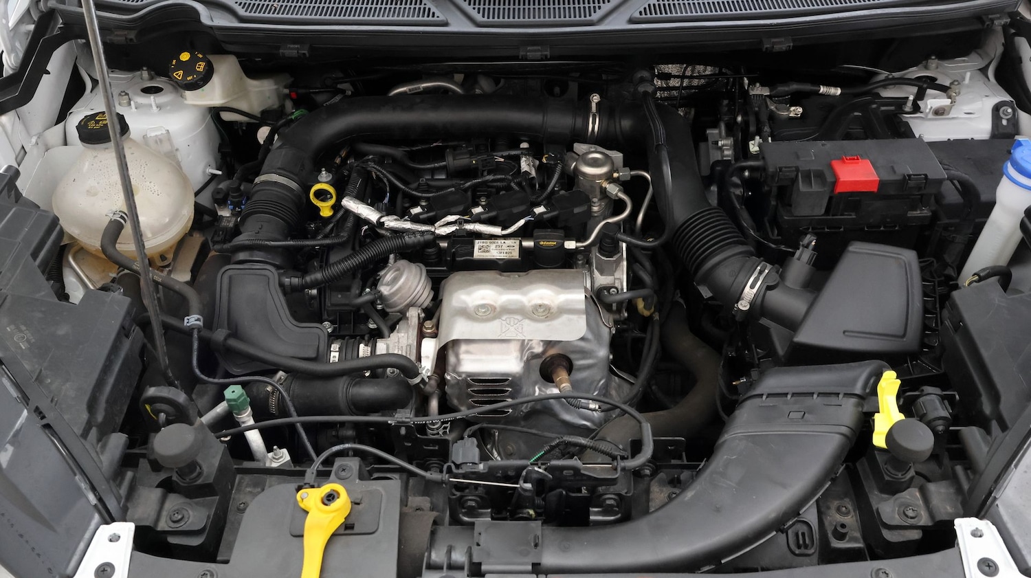 Used Ford Ecosport 2023 for sale - 77632353: Photo 19