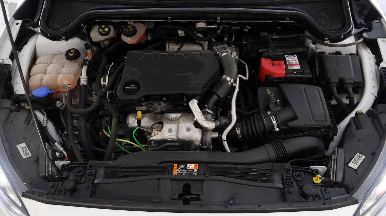 Used Ford Focus 2021 for sale - 77789435: Photo 19