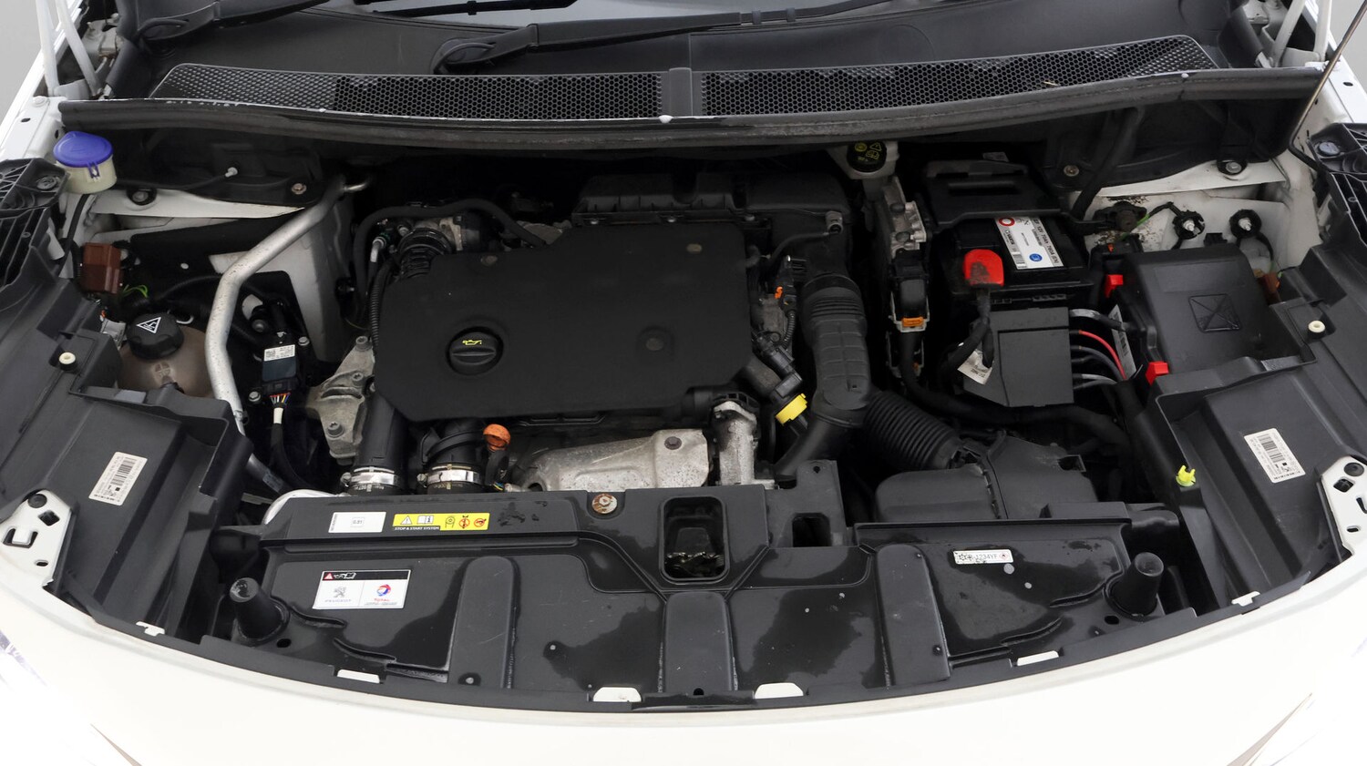 Used Peugeot 3008 for sale - 77182072: Photo 19