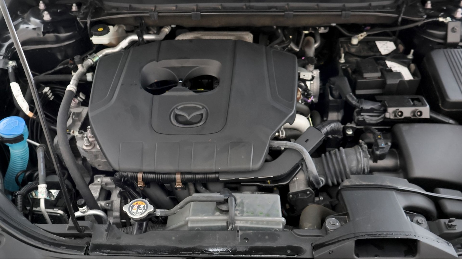 Used Mazda CX-5 2024 for sale - 77340173: Photo 19