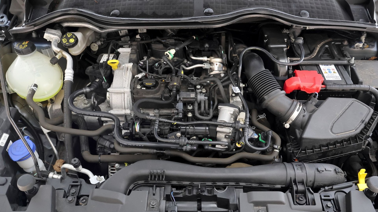 Used Ford Fiesta 2023 for sale - 77619271: Photo 19