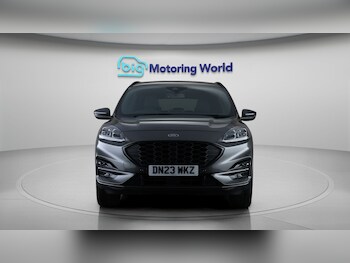 Used Ford Kuga 2023 for sale - 77654410: Photo