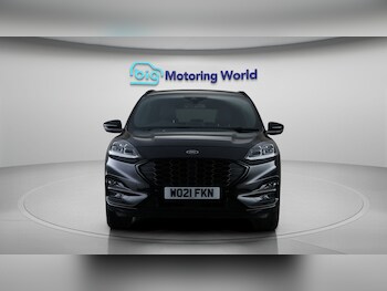 Used Ford Kuga 2021 for sale - 77654419: Photo