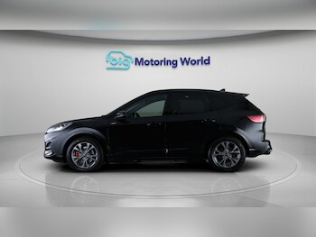 Used Ford Kuga 2021 for sale - 77654419: Photo