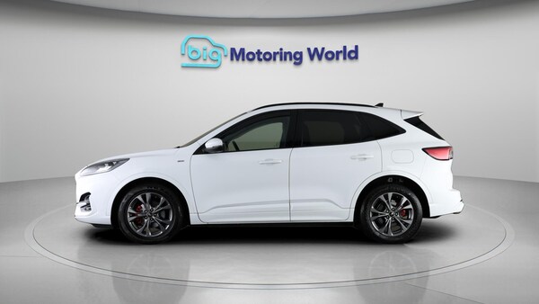 Used Ford Kuga 2021 for sale - 76295291: Photo 5