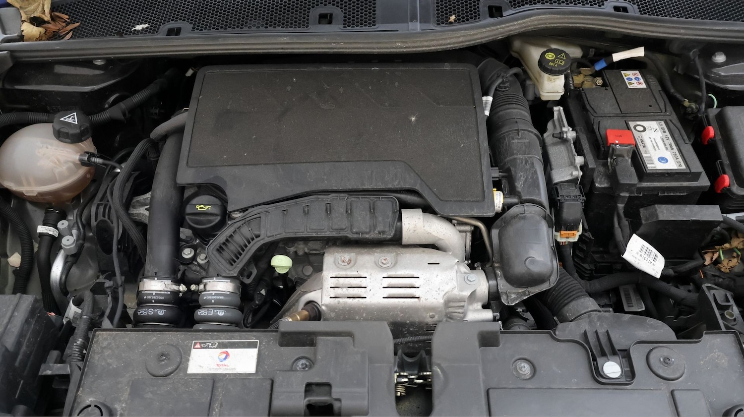 Used Citroen C4 2023 for sale - 77803108: Photo 18