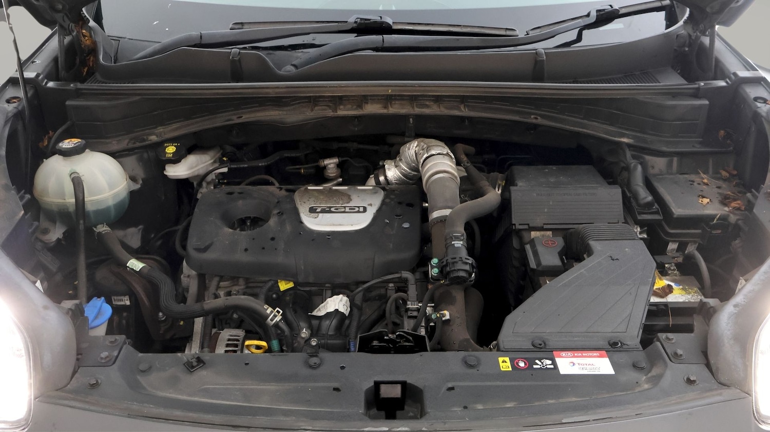 Used Kia Sportage 2019 for sale - 77329342: Photo 19