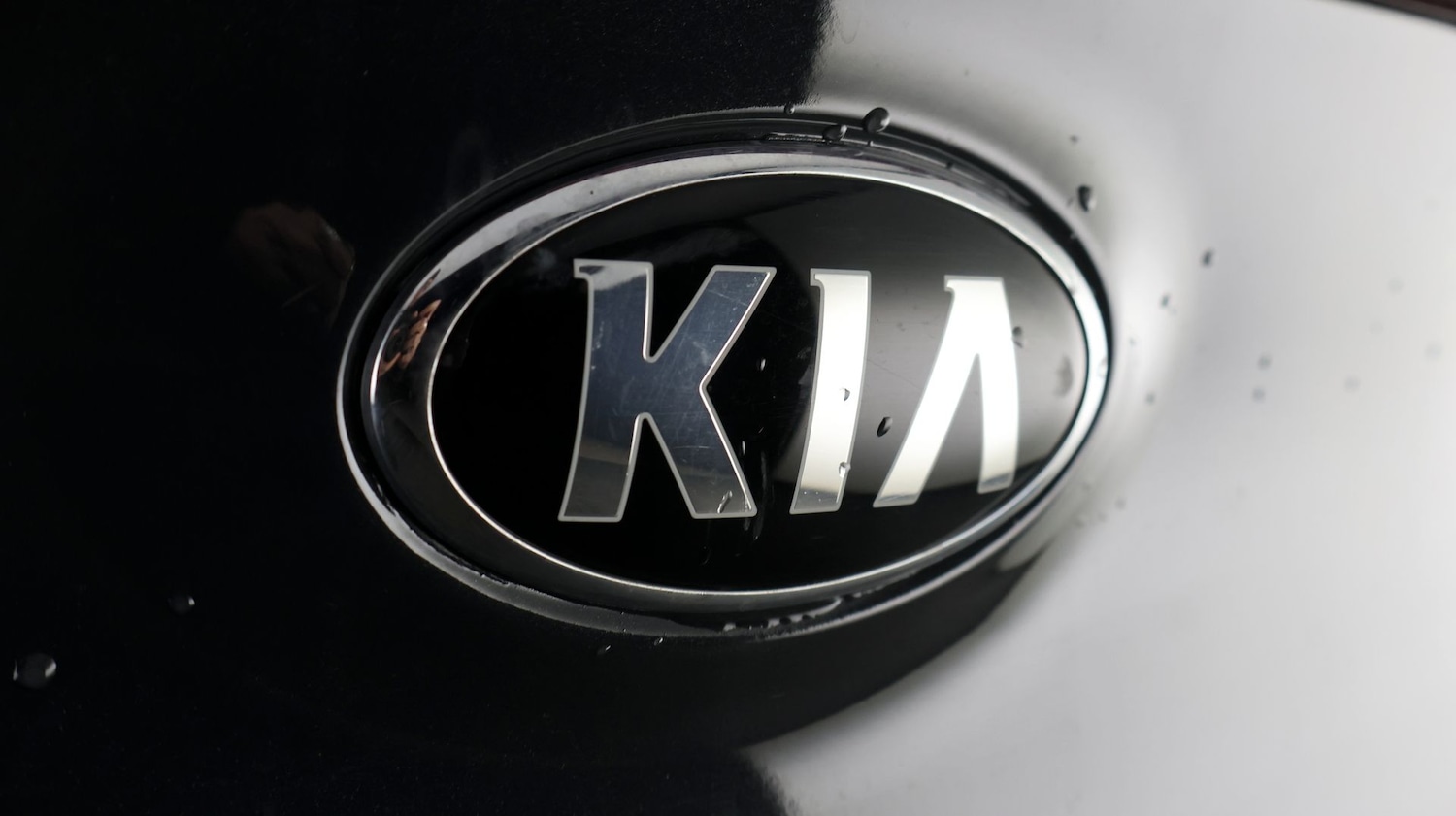 Used Kia Sportage 2019 for sale - 77329342: Photo 24