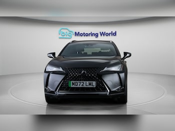 Used Lexus UX 2023 for sale - 77610199: Photo