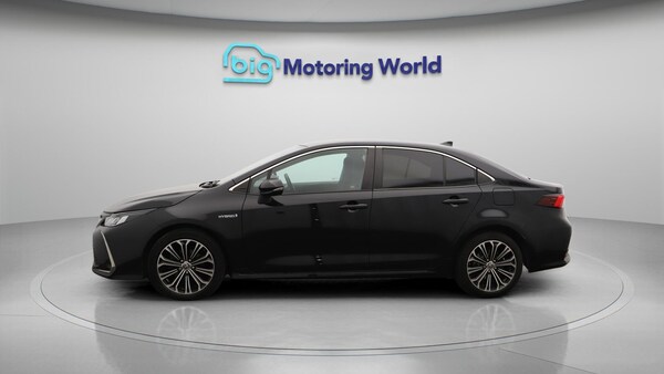 Used Toyota Corolla 2021 for sale - 76317979: Photo 5
