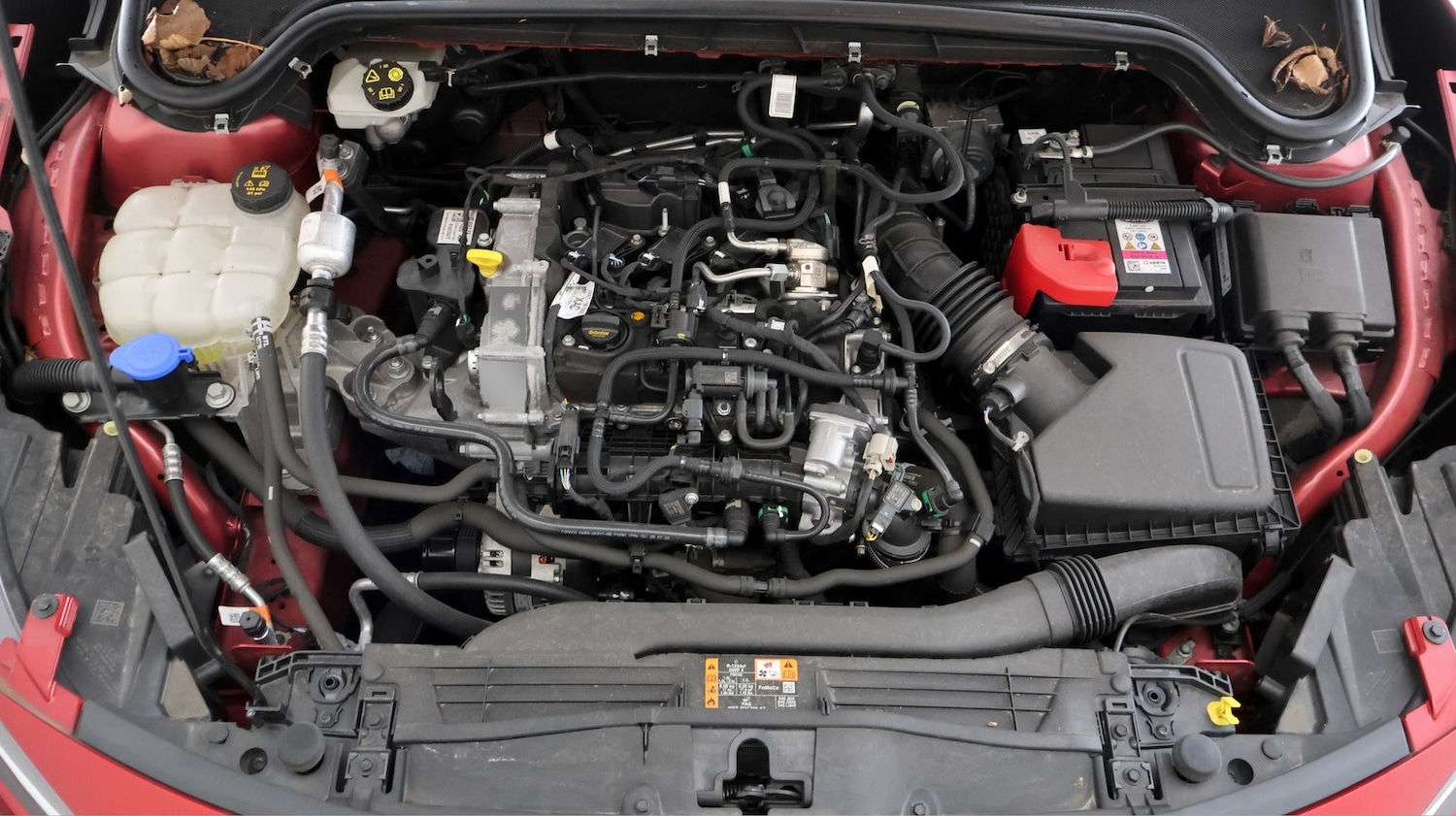 Used Ford Focus 2023 for sale - 78062354: Photo 19