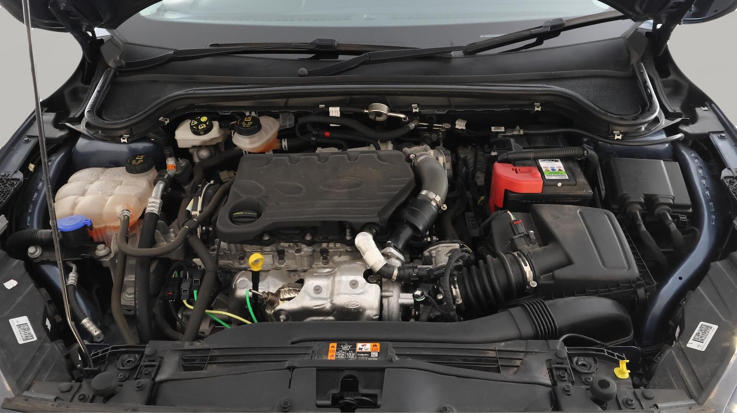 Used Ford Focus for sale - 76433199: Photo 19