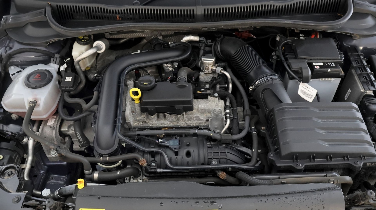 Used Volkswagen Polo 2023 for sale - 77797111: Photo 18