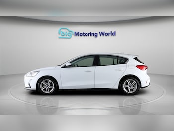 Used Ford Focus 2019 for sale - 77831577: Photo