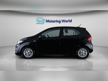 Used Kia Picanto 2023 for sale - 77668359: Photo
