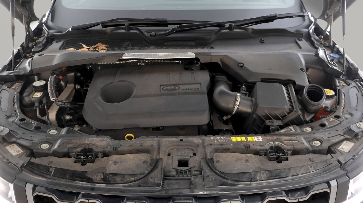 Used Land Rover Range Rover Evoque 2022 for sale - 77579484: Photo 19