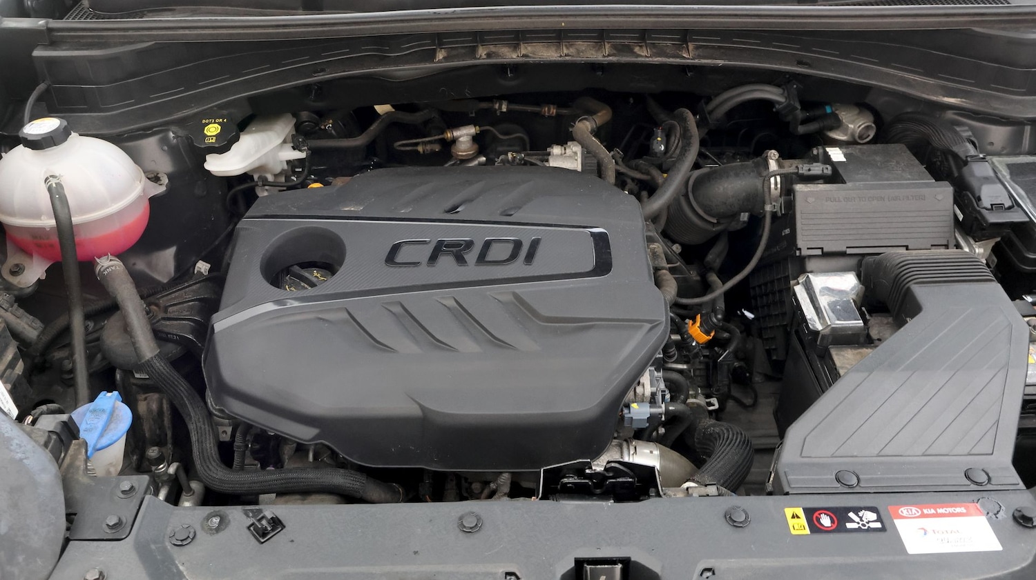 Used Kia Sportage 2022 for sale - 77182111: Photo 19