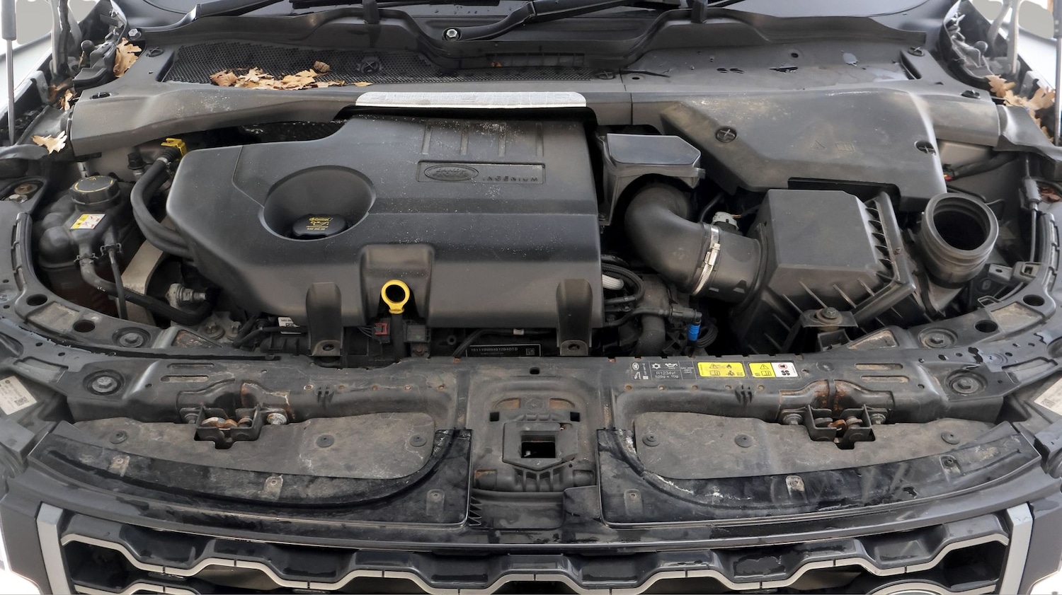 Used Land Rover Range Rover Evoque 2020 for sale - 77878790: Photo 19