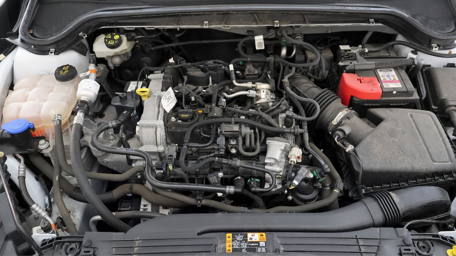 Used Ford Focus for sale - 77831584: Photo 19