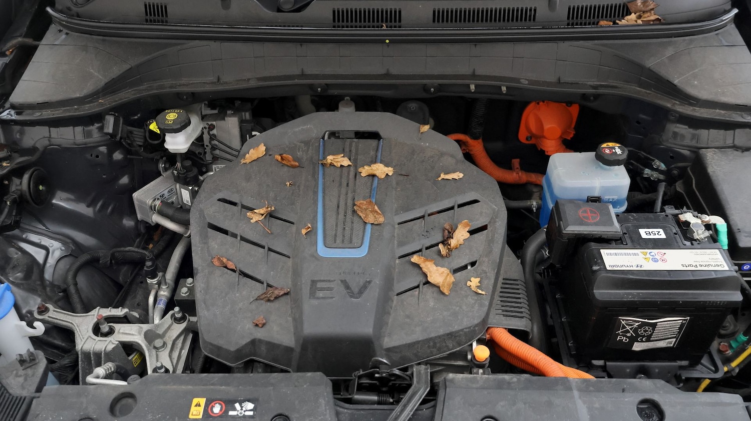 Used Hyundai KONA 2023 for sale - 77371479: Photo 19