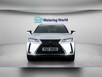 Used Lexus UX 2023 for sale - 77831596: Photo