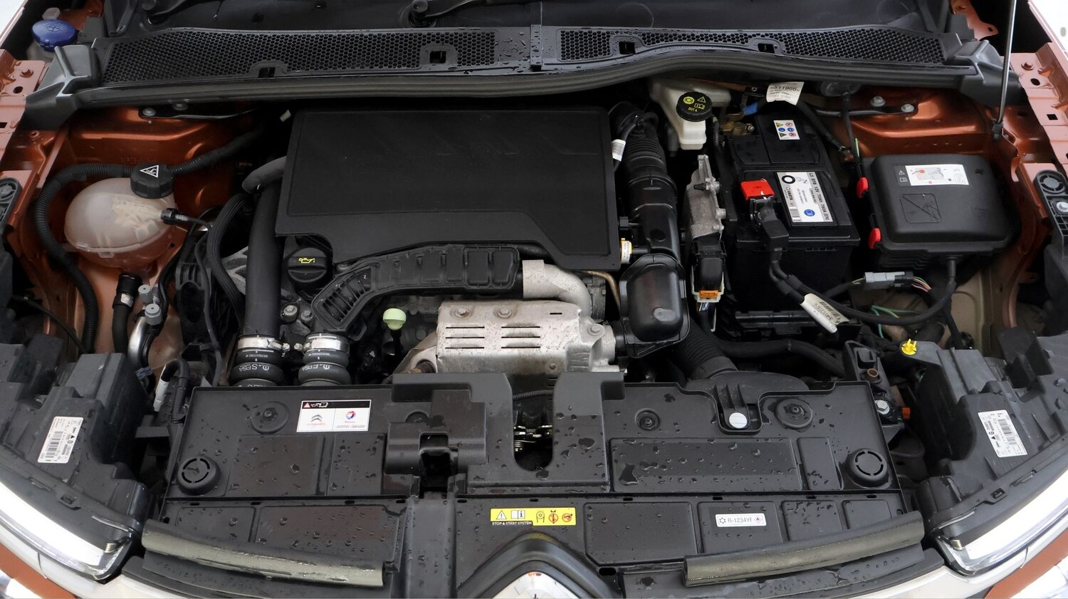 Used Citroen C4 2022 for sale - 77182192: Photo 19