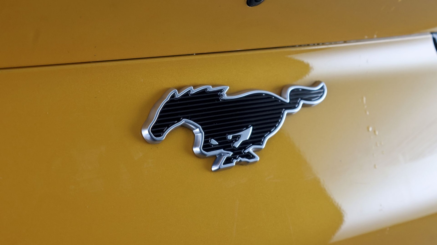 Used Ford Mustang Mach-E 2023 for sale - 77807053: Photo 21