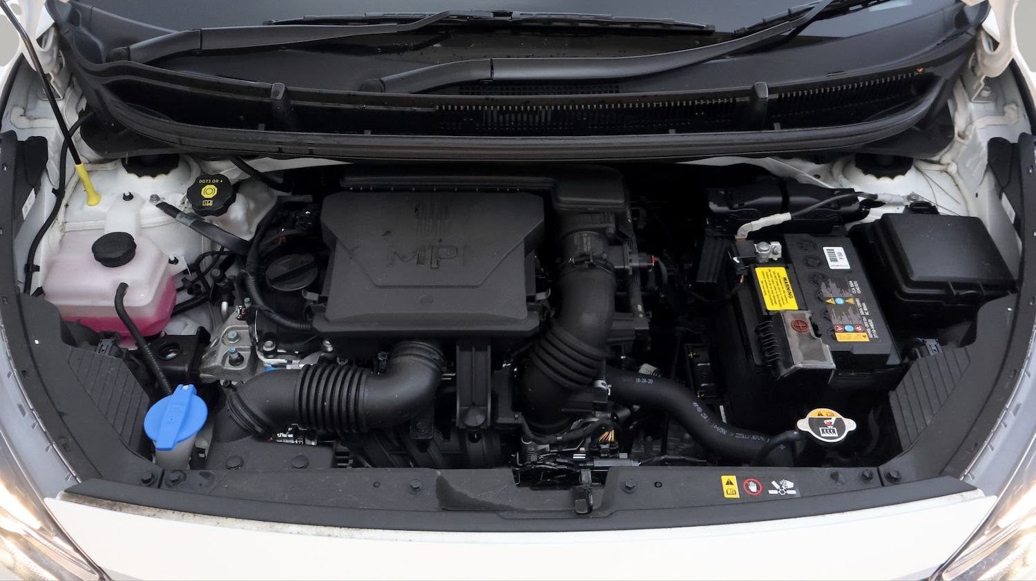 Used Kia Picanto 2023 for sale - 77781855: Photo 18