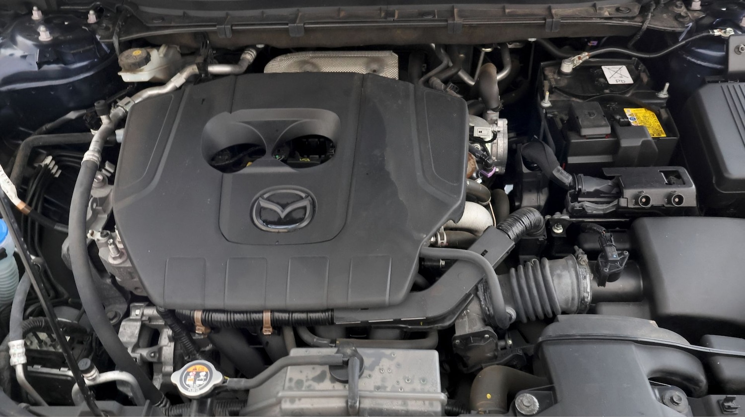 Used Mazda CX-5 2023 for sale - 77704238: Photo 18