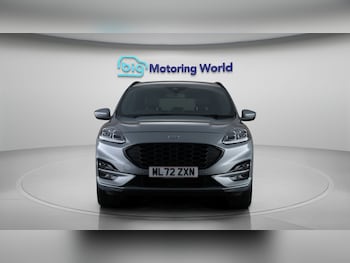 Used Ford Kuga 2022 for sale - 77919187: Photo