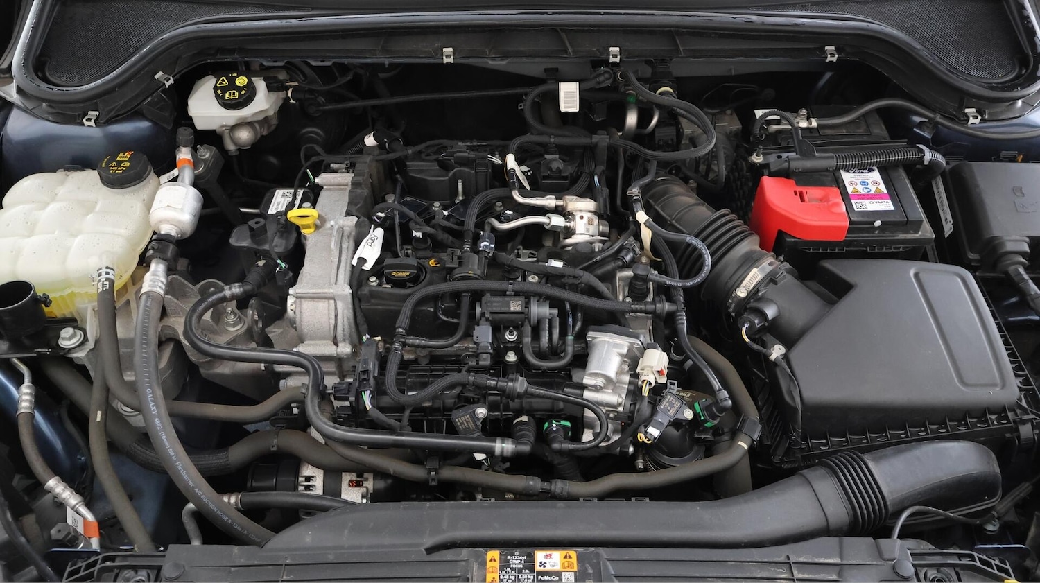 Used Ford Focus 2023 for sale - 76380760: Photo 19