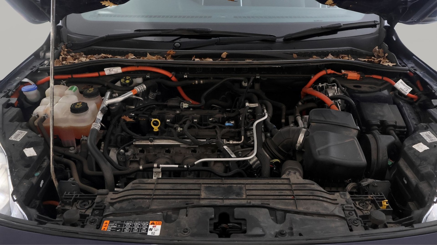 Used Ford Kuga for sale - 77247211: Photo 19