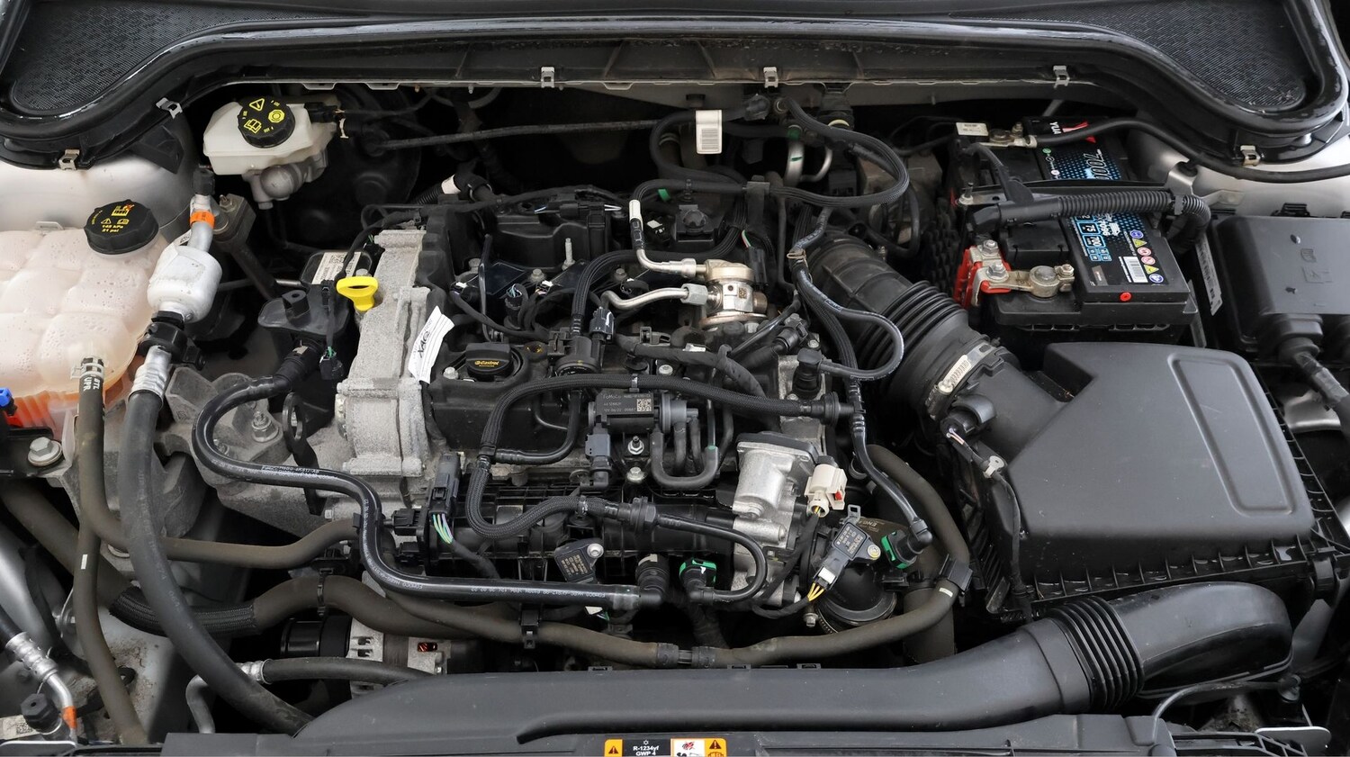 Used Ford Focus for sale - 77589931: Photo 19