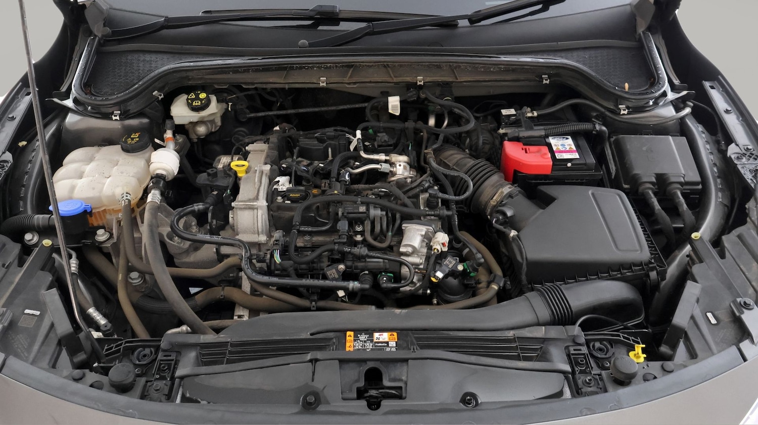 Used Ford Focus 2023 for sale - 78140678: Photo 19