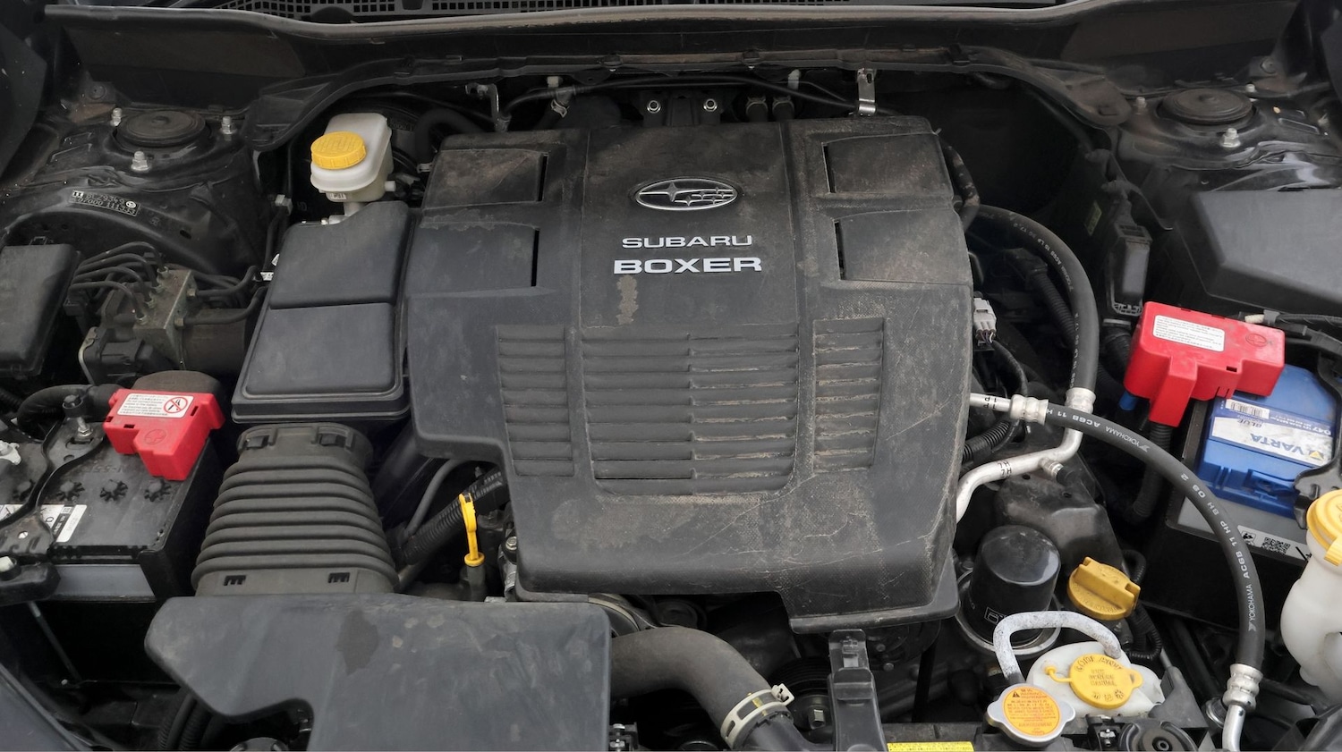 Used Subaru Forester 2023 for sale - 77282530: Photo 19