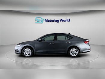 Used Skoda Octavia 2024 for sale - 78118488: Photo