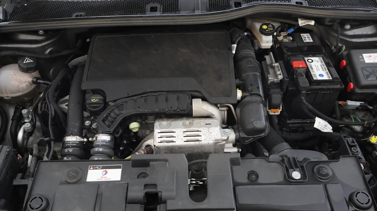 Used Citroen C4 2023 for sale - 76766018: Photo 19