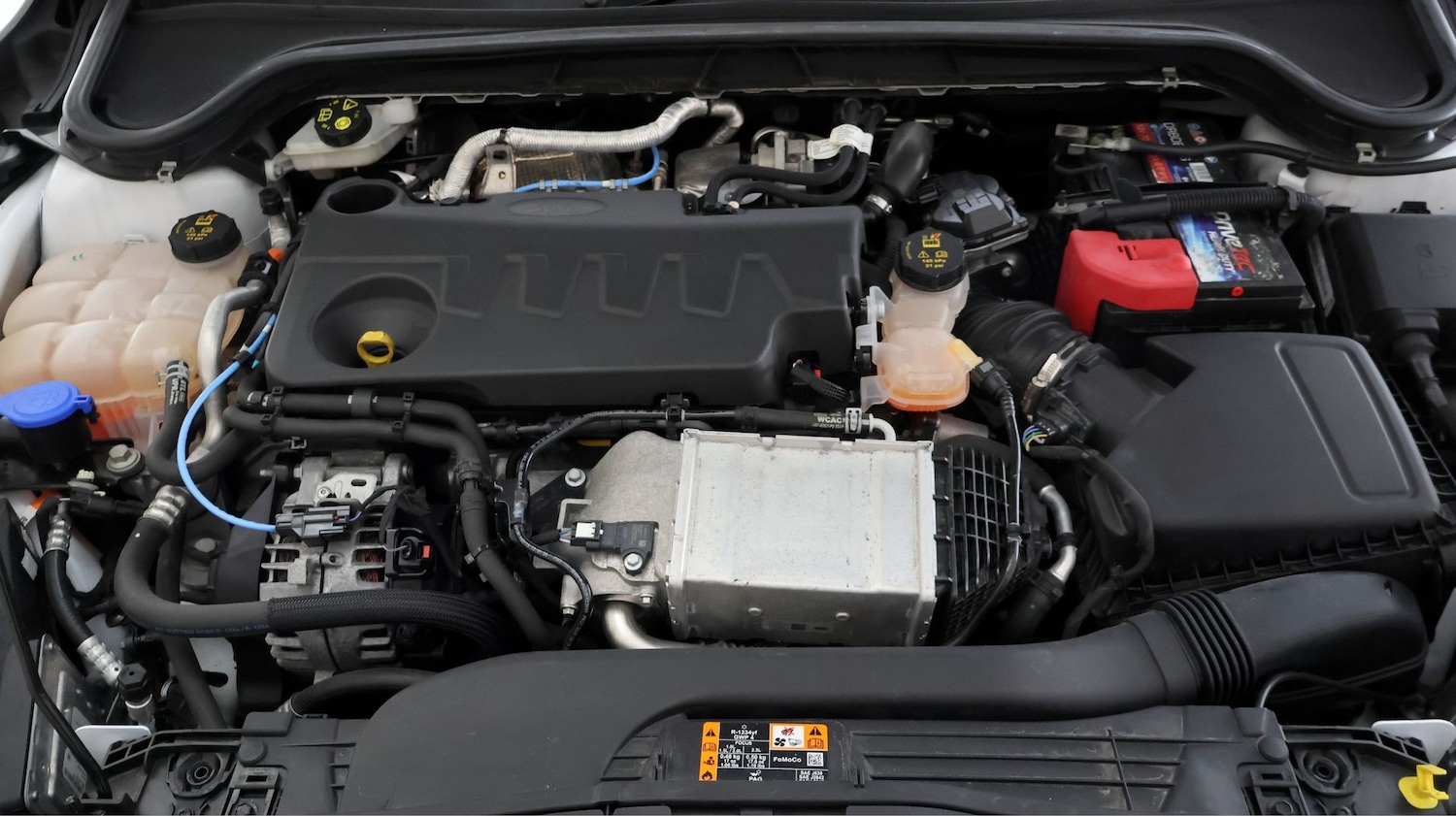 Used Ford Focus 2020 for sale - 77262083: Photo 19