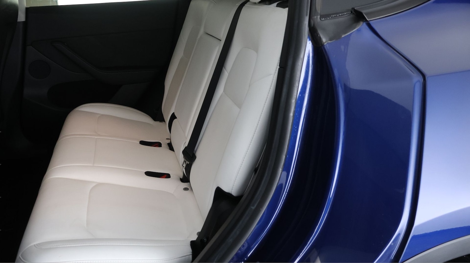 Used Tesla Model Y for sale - 77181440: Photo 16