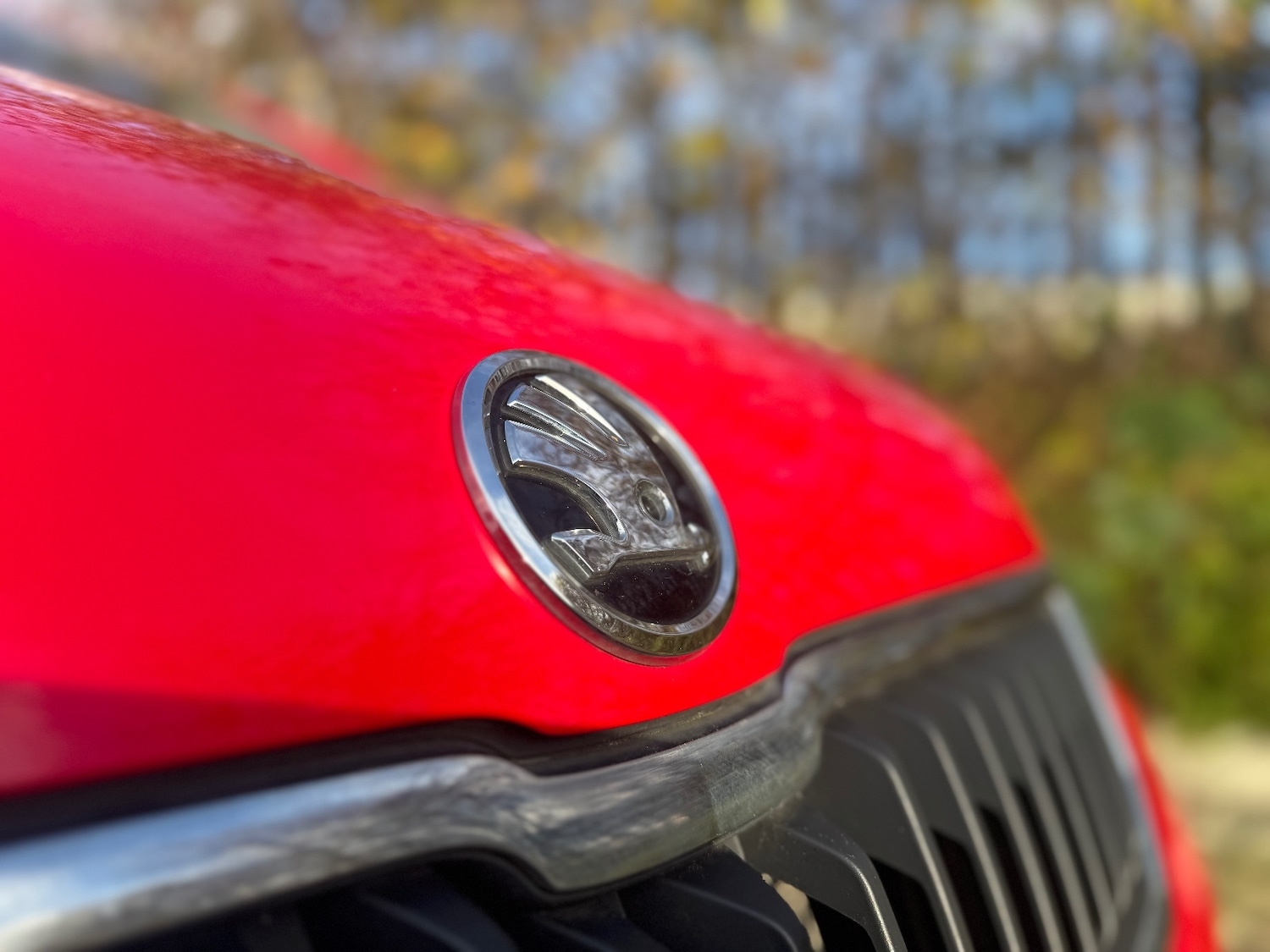 Used Skoda Citigo 2017 for sale - 76602814: Photo 36