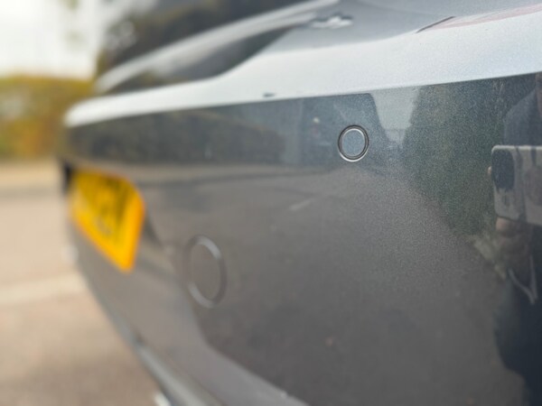 Used SEAT Ibiza 2024 for sale - 75355223: Photo 26