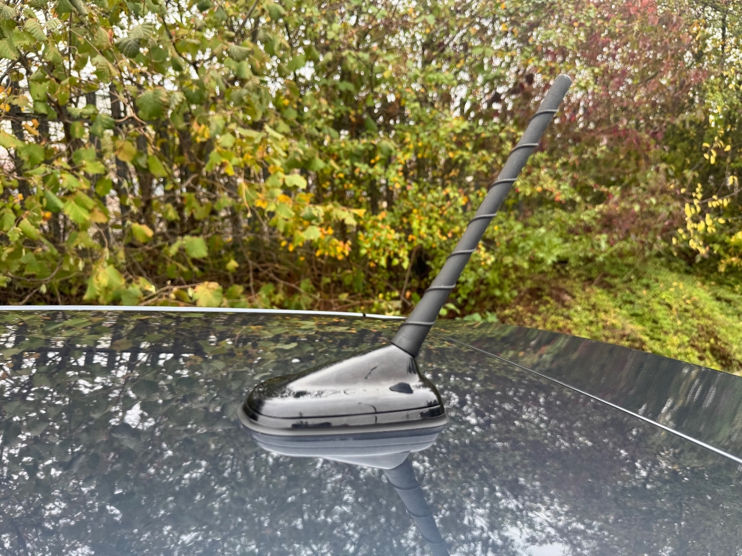 Used SEAT Ibiza 2024 for sale - 75355223: Photo 34