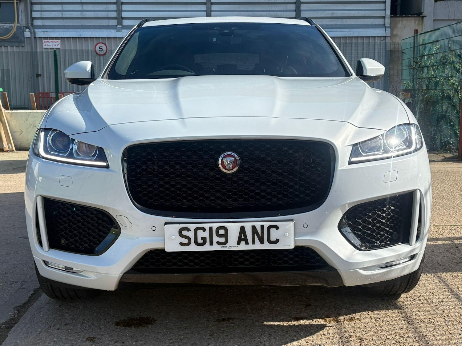 Used Jaguar F-Pace 2019 for sale - 77724015: Photo 13