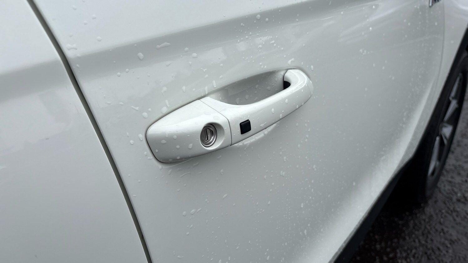 Used Ssangyong Korando 2023 for sale - 77501159: Photo 38