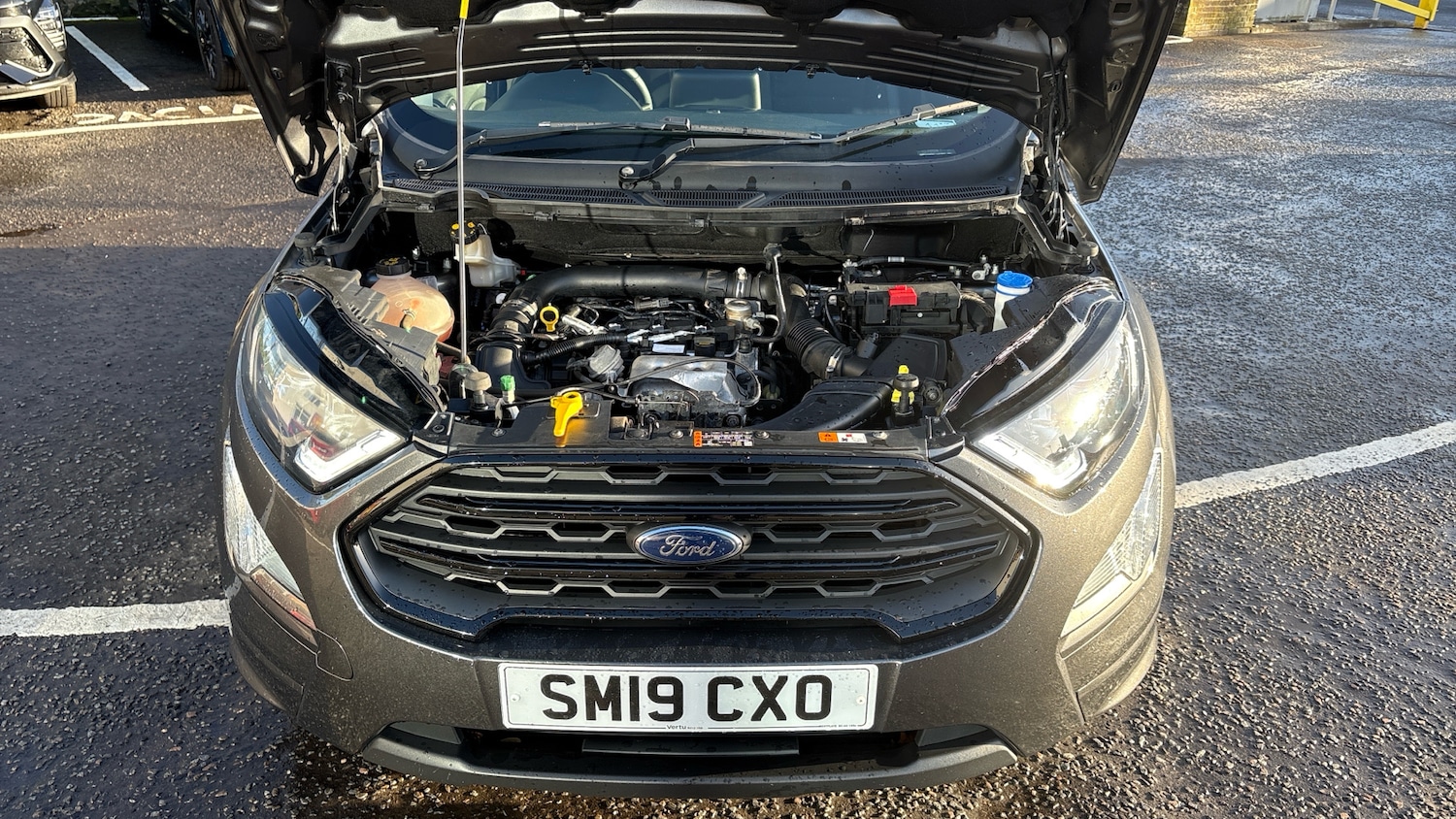 Used Ford Ecosport 2019 for sale - 76791300: Photo 8