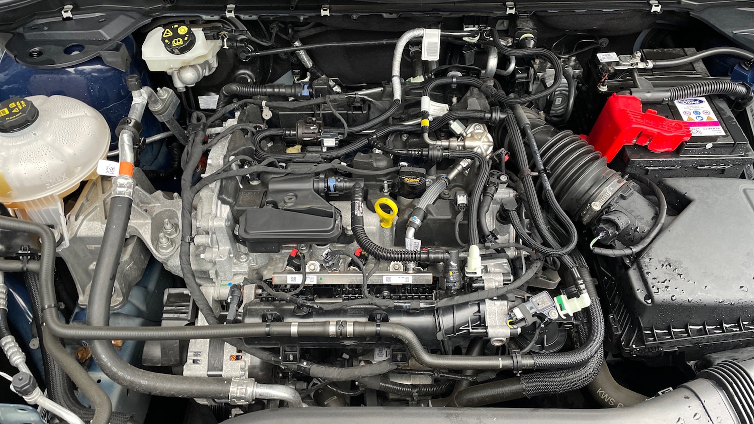 Used Ford Kuga 2024 for sale - 76627643: Photo 16