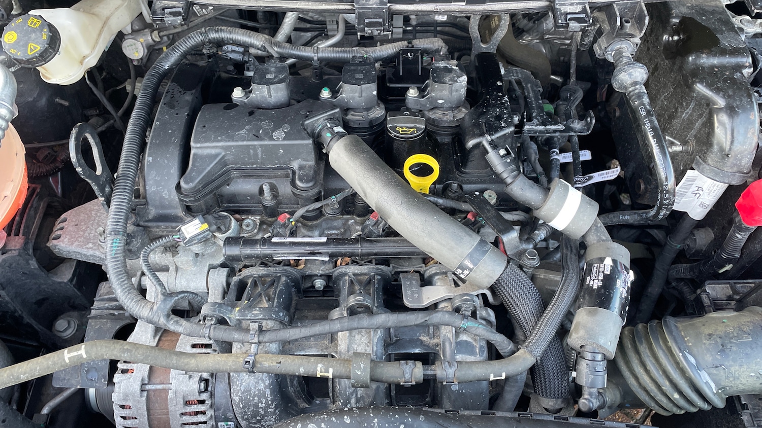 Used Ford Ka 2019 for sale - 77423267: Photo 16